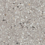 Light Grey Terrazzo Porcelain Tile 600x600mm (1026LG66)