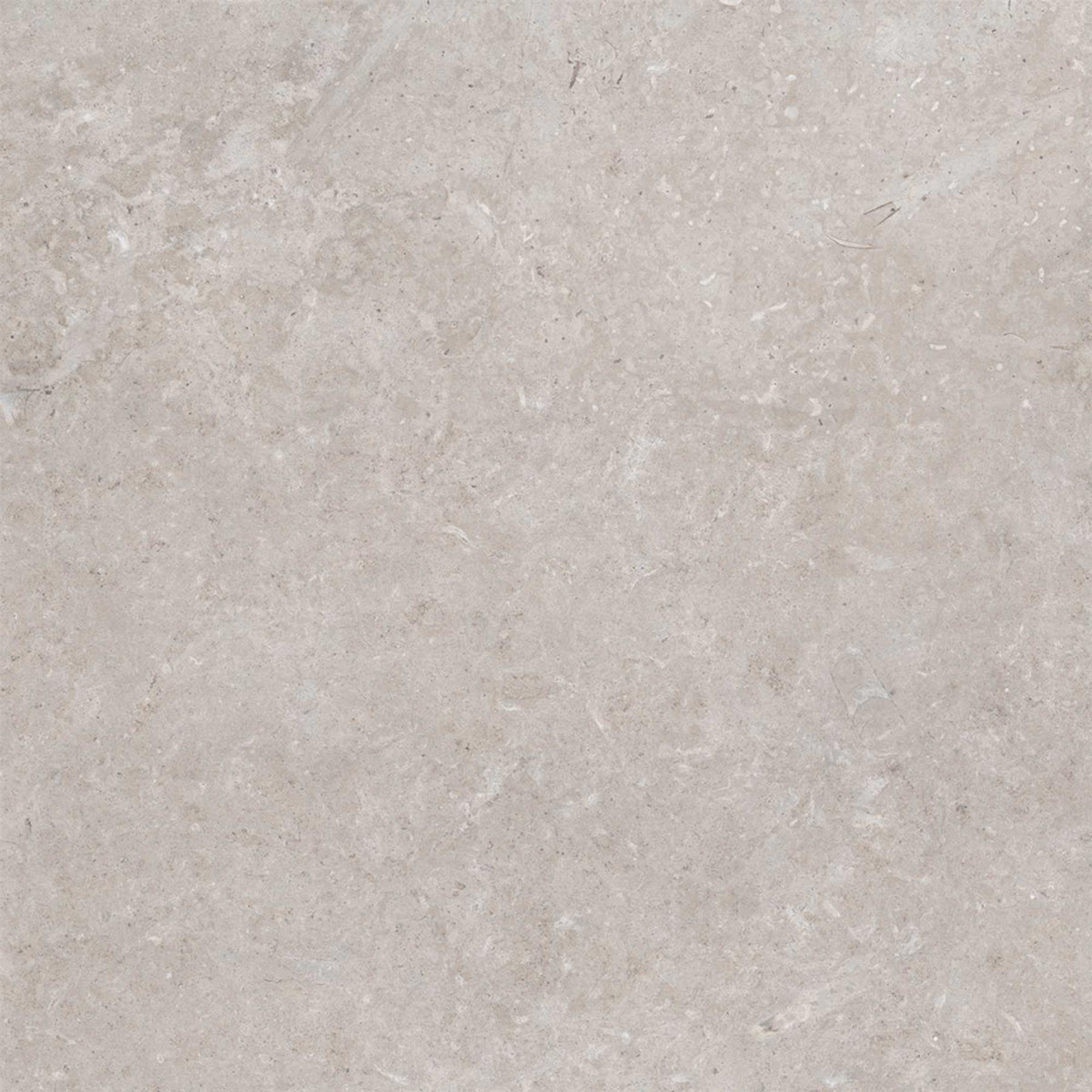 Grey Matt Concrete Effect Porcelain Tile 900x900mm (1009)