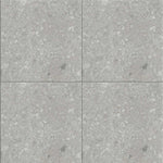 Terrazzo Effect Grey Porcelain Tile Wall Floor 900 x 900mm (1025G)