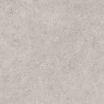 Grey Matt Concrete Effect Porcelain Tile 900x900mm (1009)