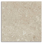 Terrazzo Effect Cream Porcelain Tile Wall Floor 900 x 900mm (1025C)