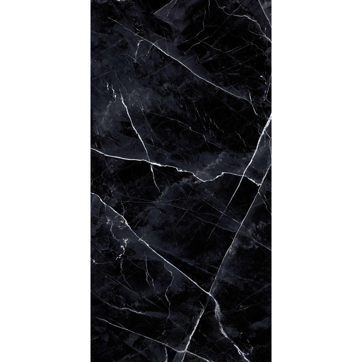Calacatta Black Polished Large Tile Slab 1200x2780mm 6mm (1021PP278)