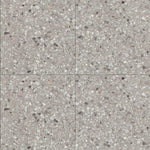 Light Grey Terrazzo Porcelain Tile 600x600mm (1026LG66)