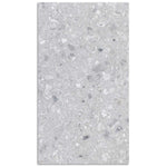 Light Grey Terrazzo Porcelain Tile 300x600mm (1026LG36)