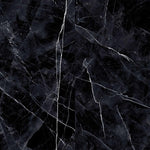 Calacatta Black Polished Large Tile Slab 1200x1200x6mm (2021P12)