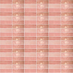Pink Ceramic Wall Tile Gloss Subway Tiles 65x200mm (1008)