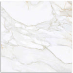 Calacatta Gold Marble Effect Matt Finish Porcelain Tile 600x600mm