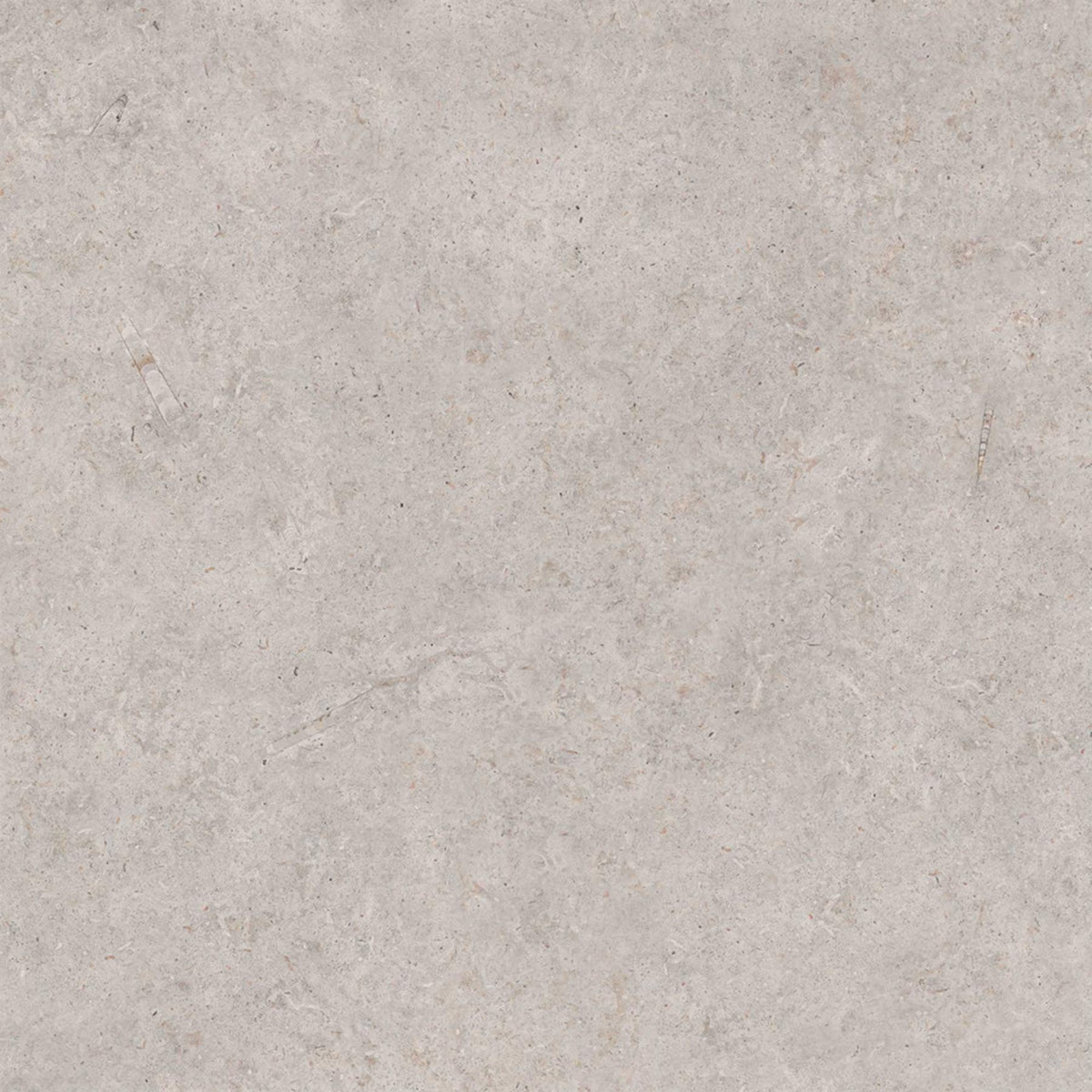 Grey Matt Concrete Effect Porcelain Tile 900x900mm (1009)